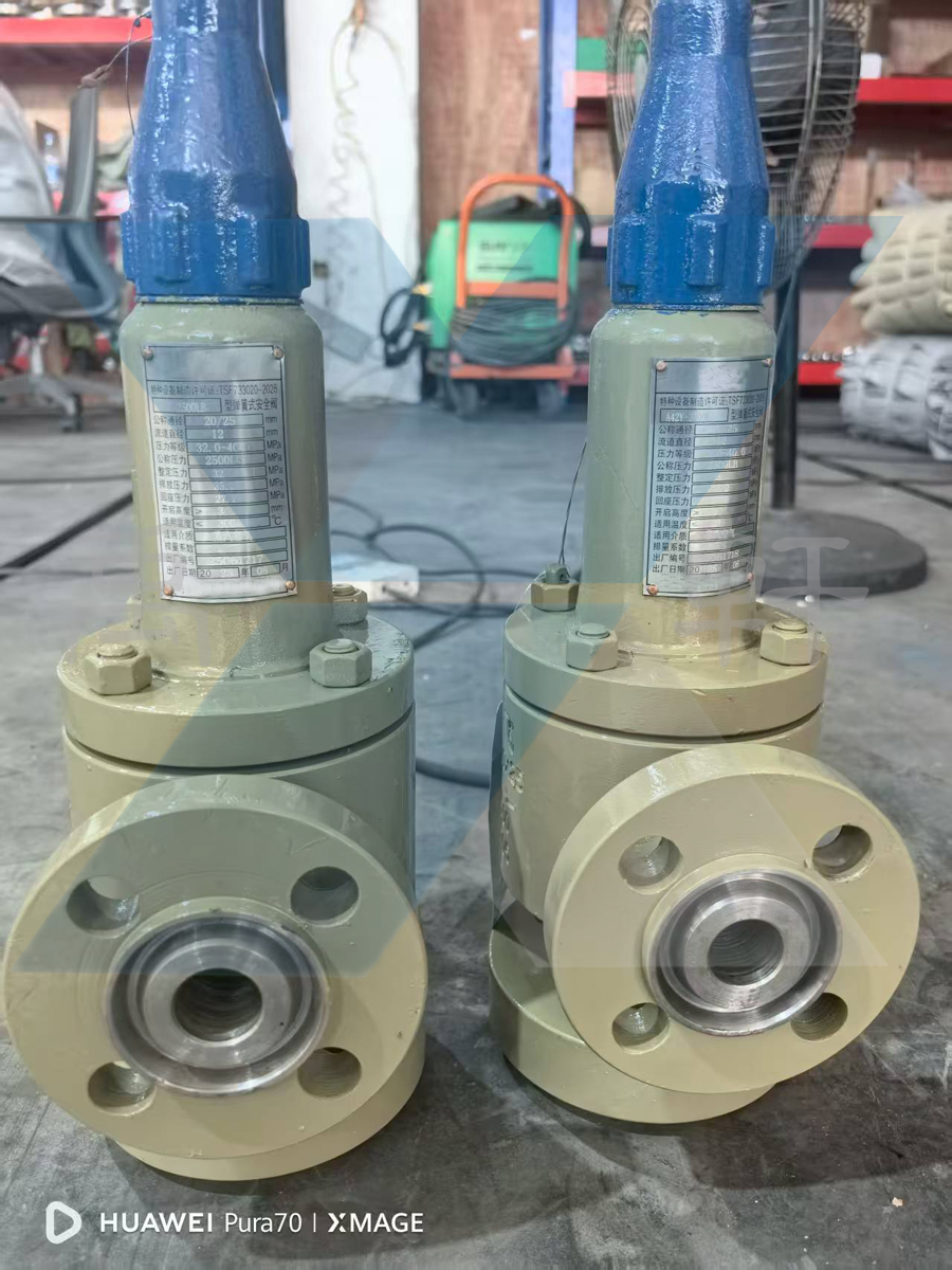 A42Y-2500LB-DN20高压安全阀(图1)