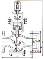 Y44H直接作用式波纹管减压阀(图1)