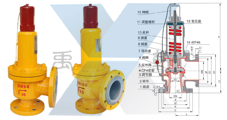 A42F46-25C-DN80衬四氟安全阀(图1)